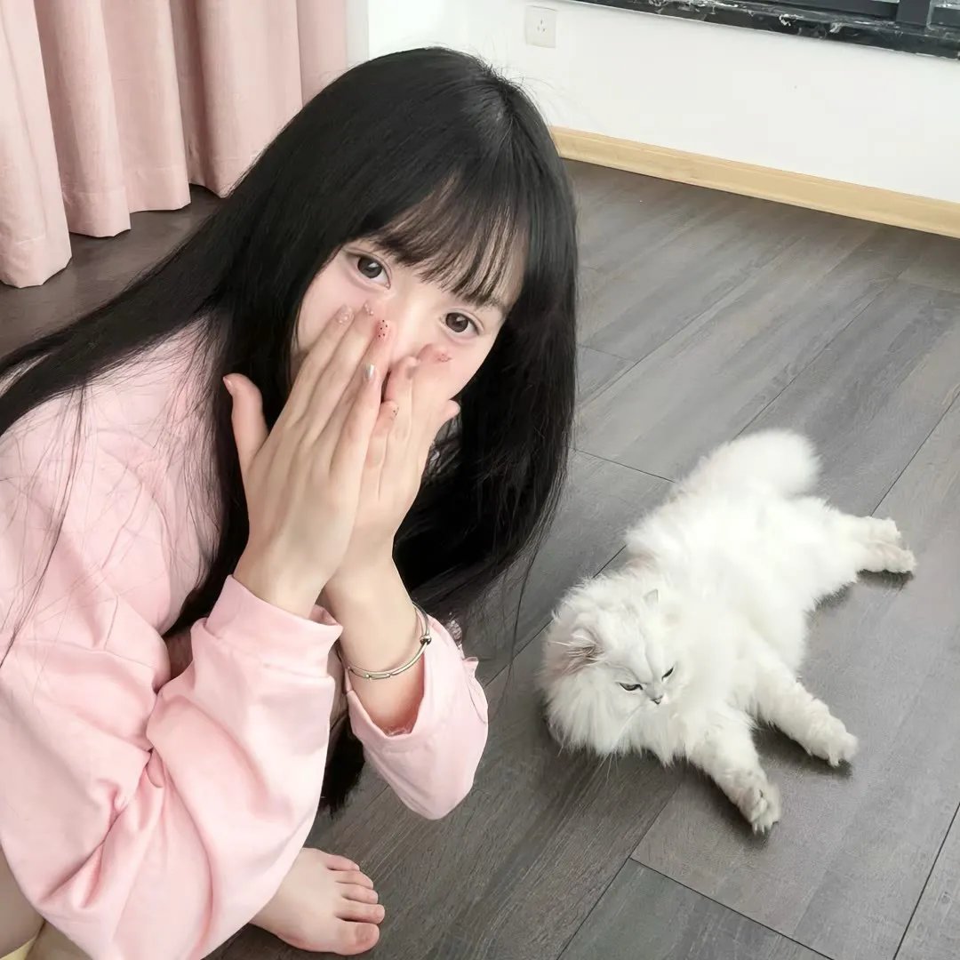 无法无家